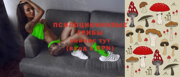 сатива Нягань