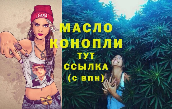 гидропоника Няндома