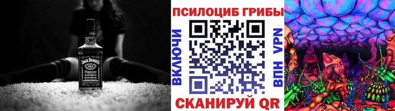 цена наркотик  Дятьково  Галлюциногенные грибы Psilocybine cubensis 